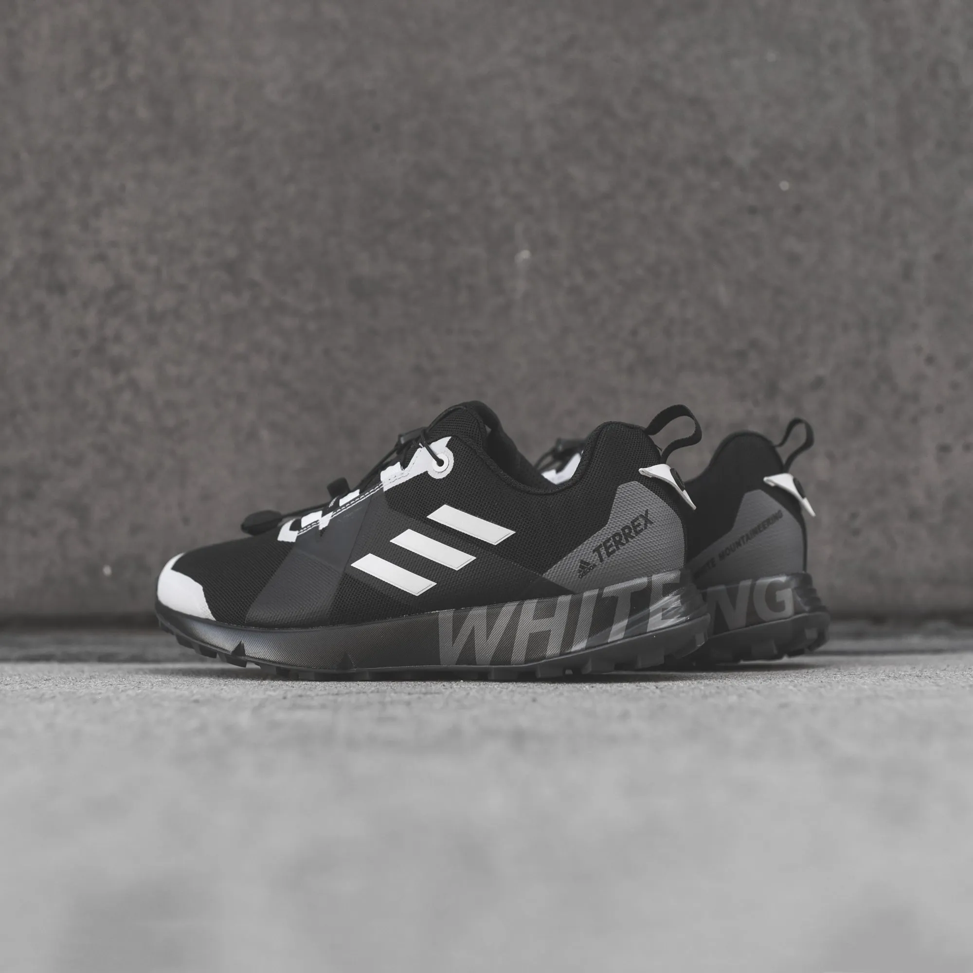 adidas Consortium x White Mountaineering Terrex 2 GTX - Black / White