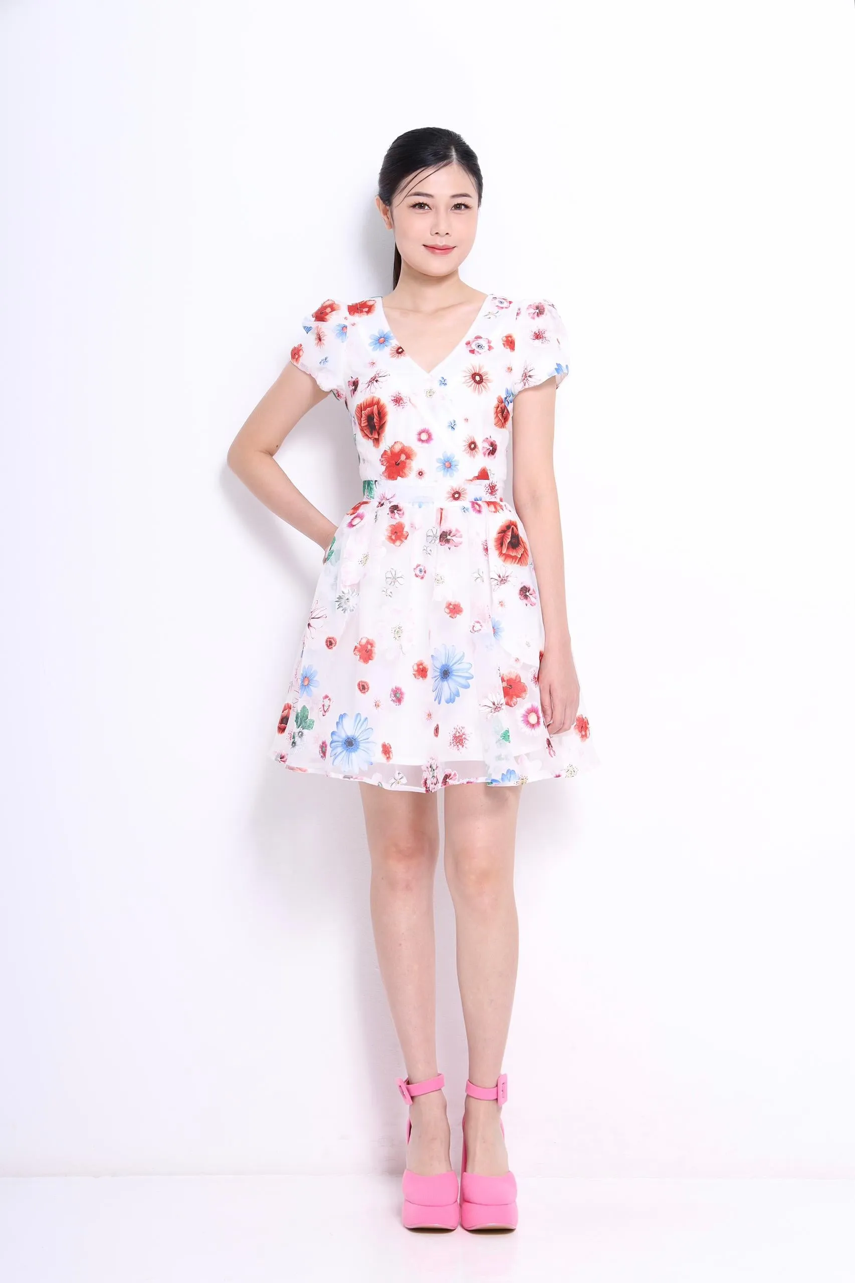 Dolce Aline Mini Dress