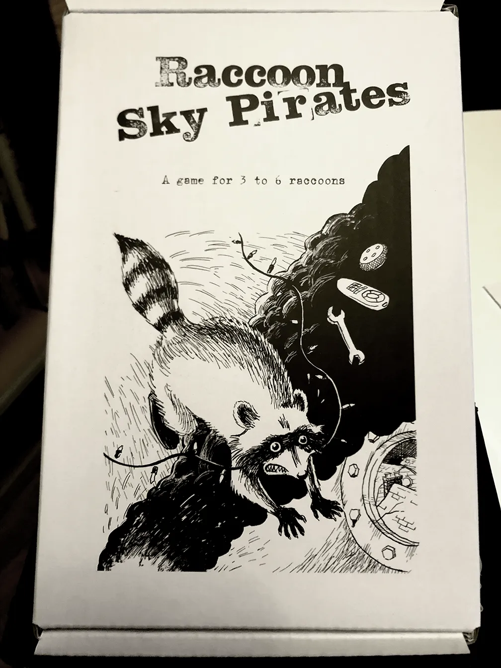 Raccoon Sky Pirates - Box Set   PDF